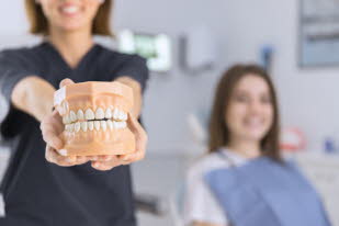 close-up-of-female-dentist-showing-teeth-model-in-front-of-camera_23-2147879146